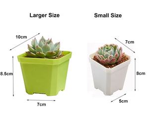 Bac à jardinage en plastique transparent coloré, petit carré, coloré, <span class=keywords><strong>pour</strong></span> pépinière, bonsaï, planteur de plantes, <span class=keywords><strong>Pot</strong></span> de fleur - Product Image 2