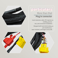 Harnais de câblage personnalisé avec faisceau de câbles tressé en nylon pour automobiles