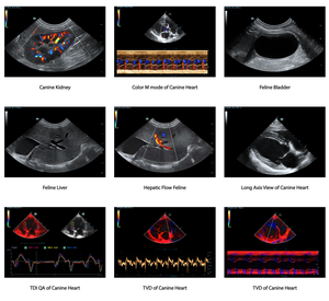 Sistema de Ultrasonido Veterinario Mindray Vetus 8 con Carro, Doppler Color, Pantalla de 23.8'', Certificado CE, Dispositivo Médico Clase II - Product Image 3
