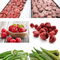 Huis-tuin-en-keuken kleine voedselvacuümvriesdroogmachine 4kg 8kg Lyofilisator Tafelmodel Fruitvriesdroogapparaat Mini-vriesdroger te koop