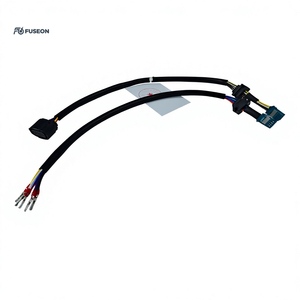 Module de fonction automobile, faisceau de câblage court, double branche, connecteur blanc et noir, faisceau de câblage personnalisé OEM 12V 24V - Product Image 4