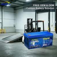 Batterie de chariot élévateur électrique au phosphate de fer et de lithium 48V 300Ah pour chariot industriel, étanche IP67, CE FCC RoHS OEM ODM