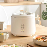 Cuisinière à riz électrique intelligente professionnelle de haute qualité avec cuve antiadhésive pour la cuisson des aliments à domicile