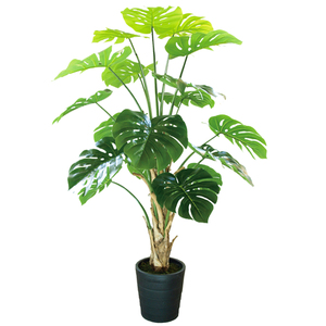 Adorno <span class=keywords><strong>de</strong></span> jardín en maceta monstera decoración <span class=keywords><strong>de</strong></span> interiores planta <span class=keywords><strong>de</strong></span> simulación bonsái planta plantas verdes artificiales pequeño bonsái - Product Image 6