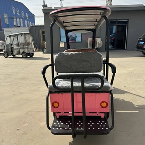 Scooter électrique à quatre roues, 4 vélos électriques, moteur puissant, longue autonomie, vélo électrique de ville avec toit, S11 Cargo E-bike - Product Image 4