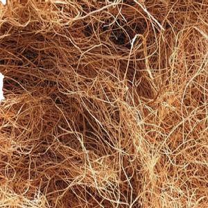 Fibra de coco natural de alta calidad para colchones, cepillos, cuerdas, esteras para cultivo, fibra de coco para mantillo, venta al por mayor de La India - Product Image 1