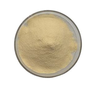 Offre Spéciale de haute qualité naringénine 98% extrait de naringénine poudre d'extrait de naringénine - Product Image 1