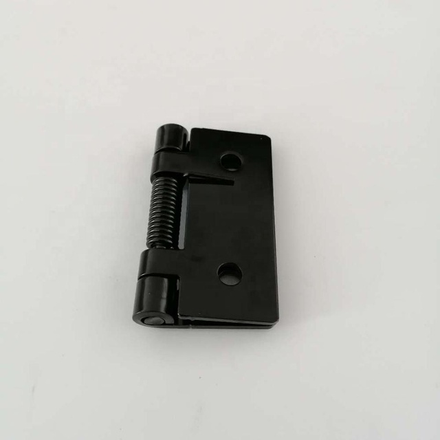 Stainless steel small size black spring hinges