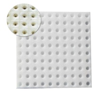 Système hydroponique de serre écologique de haute qualité, pots de culture agricole, inserts en filet, blocs de mousse carrés en éponge pour jardin