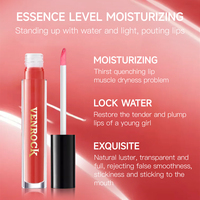 VENROCK Huile Essentielle Végétalienne pour les Lèvres 2 Couleurs Hydratante Anti-rides Repulpante Brillante Extrait Végétal OEM ODM Marque Privée