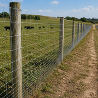 Grillage de protection galvanisé à nœuds fixes pour pâturages, clôture anti-chevaux sauvages, clôture pour bétail en prairie