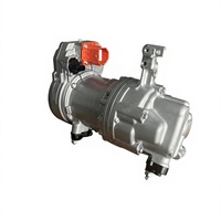 Nouvelle pompe de compresseur électrique 12V AC de marque DW pour Tesla Model 3 Y (Numéro de pièce 108819800L) Compresseur de climatisation Denso pour voiture, garantie 6 mois