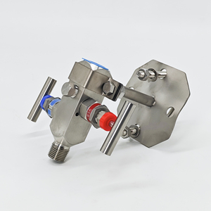 Collecteurs d'instrumentation série C13ST cinq voies pour transmetteurs différentiels Yokogawa, 5 collecteurs - Product Image 3