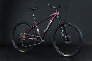 Suspensión de aluminio para <span class=keywords><strong>bicicleta</strong></span> de montaña, Marco lloy de aleación de <span class=keywords><strong>29</strong></span> pulgadas, 21 velocidades, popular, venta al por mayor - Product Image 2