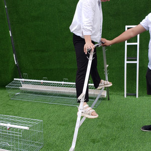 ที่ขายดีที่สุดทำรังไก่สำหรับการวางไก่/กรงแบตเตอรี่สำหรับชั้นในยูกันดา - Product Image 3