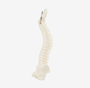 Porte-clés personnalisé <span class=keywords><strong>en</strong></span> forme de colonne vertébrale et de bassin, <span class=keywords><strong>cadeau</strong></span> promotionnel avec impression de logo <span class=keywords><strong>pour</strong></span> étudiant <span class=keywords><strong>en</strong></span> médecine, chiropraticien, <span class=keywords><strong>cadeau</strong></span> de remise de diplôme - Product Image 5