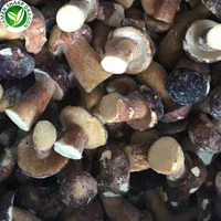 Champignons entiers IQF Boletus Edulis Prix Champignons Congelés Suillus Luteus Chine SD 12 Tonnes (Charge Mixte avec Durée de Conservation de 24 Mois Toute l'Année)