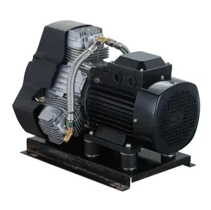 Oil Free Air Compressor Charging Pump Piston Type Silent Auto Repair Decoration Air Compressor