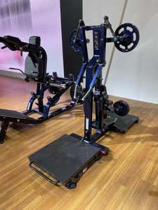 Attrezzatura da Palestra Indoor per Allenamento con Pesi Liberi, Macchina per Alzate Laterali/Deltoidi Posteriori, Bestseller - Product Image 1