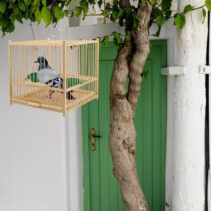 Ahşap kuş kafesi papağan kafesi asılı kanca tepsisi Prevue Pet ürünleri ile ahır tarzı kuş kafesi - Product Image 4