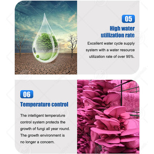 ORME, солнечная энергия, 40-футовый контейнер, фермерский дом, автоматическое оборудование для выращивания грибов - Product Image 4