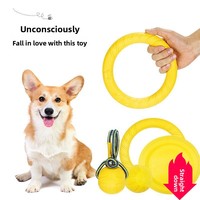 Balle à mâcher flottante en caoutchouc souple et élastique pour chien, résistante aux morsures, en PVC, pour l'entraînement et le jeu.