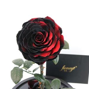 Set regalo di rosa incantata nuova bellezza conservata e la bestia rosa per San Valentino - Product Image 2