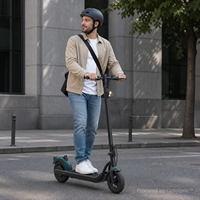 Scooter Eléctrico Plegable N05 de 350W, 10Ah, 10 Pulgadas, para Desplazamientos Urbanos, Venta al Por Mayor