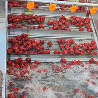 Automatische belletjeswasmachine voor groenten, roestvrijstalen fruit- en groentereiniger voor de verwerking van aardappelen, tomaten en bladgroenten