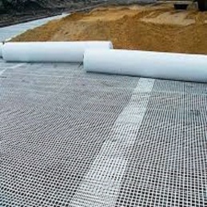 600 Gsm Geonet geocomposito di drenaggio per il drenaggio di argini e strade, ferrovia - Product Image 6