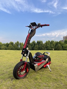 Patinete eléctrico de largo alcance para adulto, 100km, movilidad, e-scooter - Product Image 2