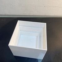 Boîte Blanche Carrée en Acrylique Personnalisée avec Logo pour Table, Présentoir Alimentaire de Buffet en Acrylique, Support pour Mariage et Événements