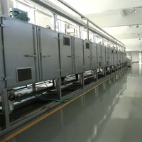 DWT2-10-1 Serie Industriële Fruit Drogers