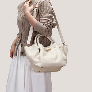 阿里巴巴中国<span class=keywords><strong>2026</strong></span>年流行产品大容量女式手提包Ins热销女士翻盖手提包女孩新款手机包 - Product Image 4