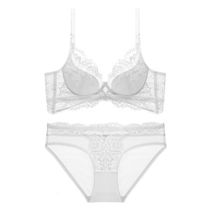 <b>Sexy</b> Floral Lace Underwire Sheer Bra Panty 2-Piece Plus Size Lingerie <b>Set</b> with Bow Breathable Push-Up Womens Intimates Lingerie - Product Image 5