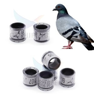 Hot Selling Mixed Order Multicolor Duivenvoetring Met Woordoorbellen Duurzaam Vogelracevogelgereedschap - Product Image 6