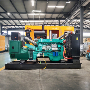 Gruppo Elettrogeno Diesel Silenzioso ad Alte Prestazioni 300kw YG-1115 per Grandi Ville - Product Image 1