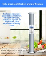 Cartouche filtrante au charbon actif de coque de noix de coco CTO, élément filtrant à coque en PP de qualité alimentaire, taux d'adsorption élevé, remplacement