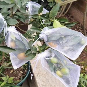 <span class=keywords><strong>100</strong></span> pièces de sacs de protection pour fruits, filets de jardin, housses pour plantes, vente directe d'usine - Product Image 4