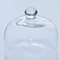 Cloche en verre transparente faite à la main, économique, pour terrariums, plantes, bibelots, gâteaux, présentoir cloche en verre pour mariage