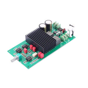 Amplificador Digital Clase D de un Solo Canal TPA3255, 600W de Alta Potencia - Product Image 1