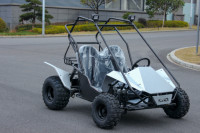 Kandi 200CC CE Nuevo Go Kart de Pedales para Carreras Todoterreno, 4 Tiempos, Transmisión por Cadena, Combustible de Gasolina