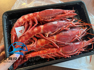 Langostinos Carabinero Congelados con Gran Sabor para Restaurantes, Hoteles y Servicios de Catering, Compre Ahora - Product Image 3