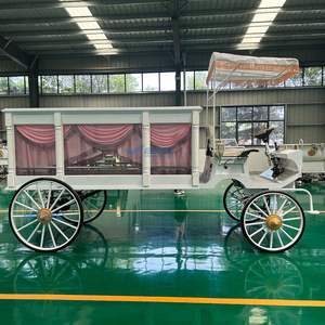 Carroza Fúnebre Eléctrica para Eventos Especiales con Color Personalizado y Estructura de Acero, Carroza Tirada por Caballos con Toldo - Product Image 4