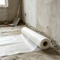 Rete di Rinforzo in Fibra di Vetro ad Alta Resistenza per Muri in Calcestruzzo, Intonaco in Marmo, Coperture Impermeabili 45gsm 80g 145g 160g