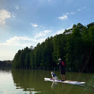 <span class=keywords><strong>Tabla</strong></span> de <span class=keywords><strong>Surf</strong></span> de Pádel Sólida de Espuma para <span class=keywords><strong>Surf</strong></span> y Juegos Acuáticos, de Plástico HDPE Rígido con Certificado CE, Proveedor de China de Máxima Calidad - Product Image 5