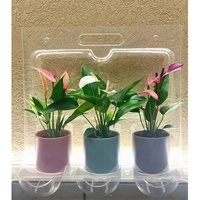 Emballage blister personnalisé pour animaux de compagnie, pour le jardinage, les fleurs, les plantes en pot, Transport, boîte Portable, emballage pour fleurs