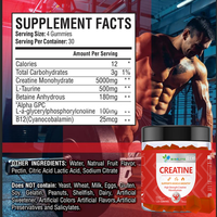 Gummies de Créatine Monohydrate en Gros, 120 Unités – Favorise la Croissance Musculaire, Complément Nutritionnel pour l'Entraînement et le Sport