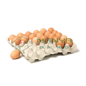 Máquina formadora de bandejas de huevos de papel de desecho completamente automática - Product Image 3
