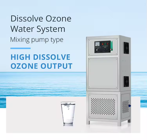 Hot bán 10g 20g 30g Ozone hệ thống nước Máy phát điện Ozone cho nước - Product Image 3